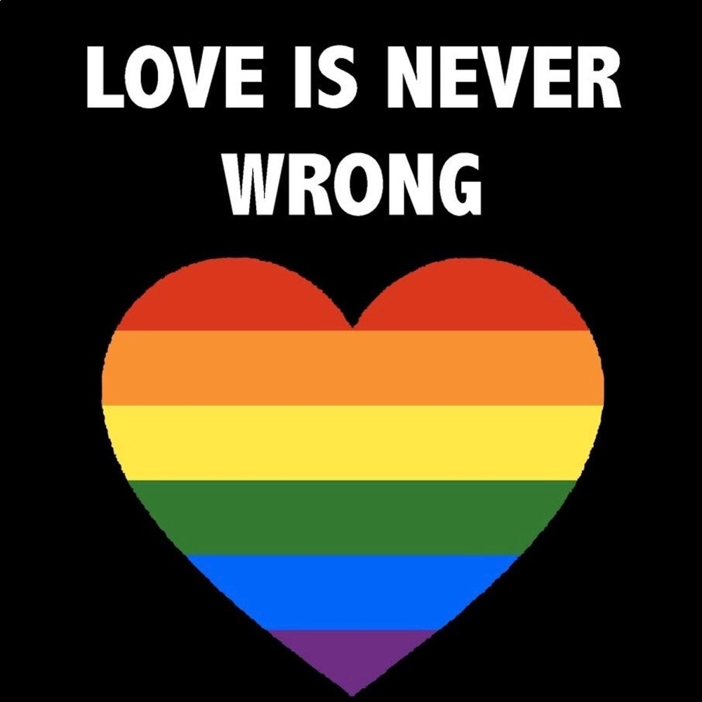 GAY PRIDE (ALL THE TIME) ❤️ IS ❤️ CIVIL RIGHTS BLACK HISTORY EVERY DAY GOD BLESS - Picture 2 of 11